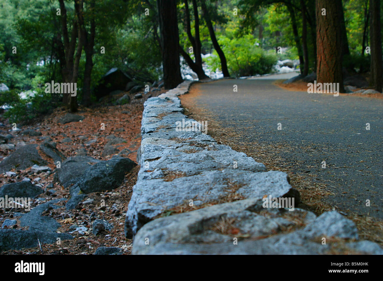 Yosemite-Weg Stockfoto
