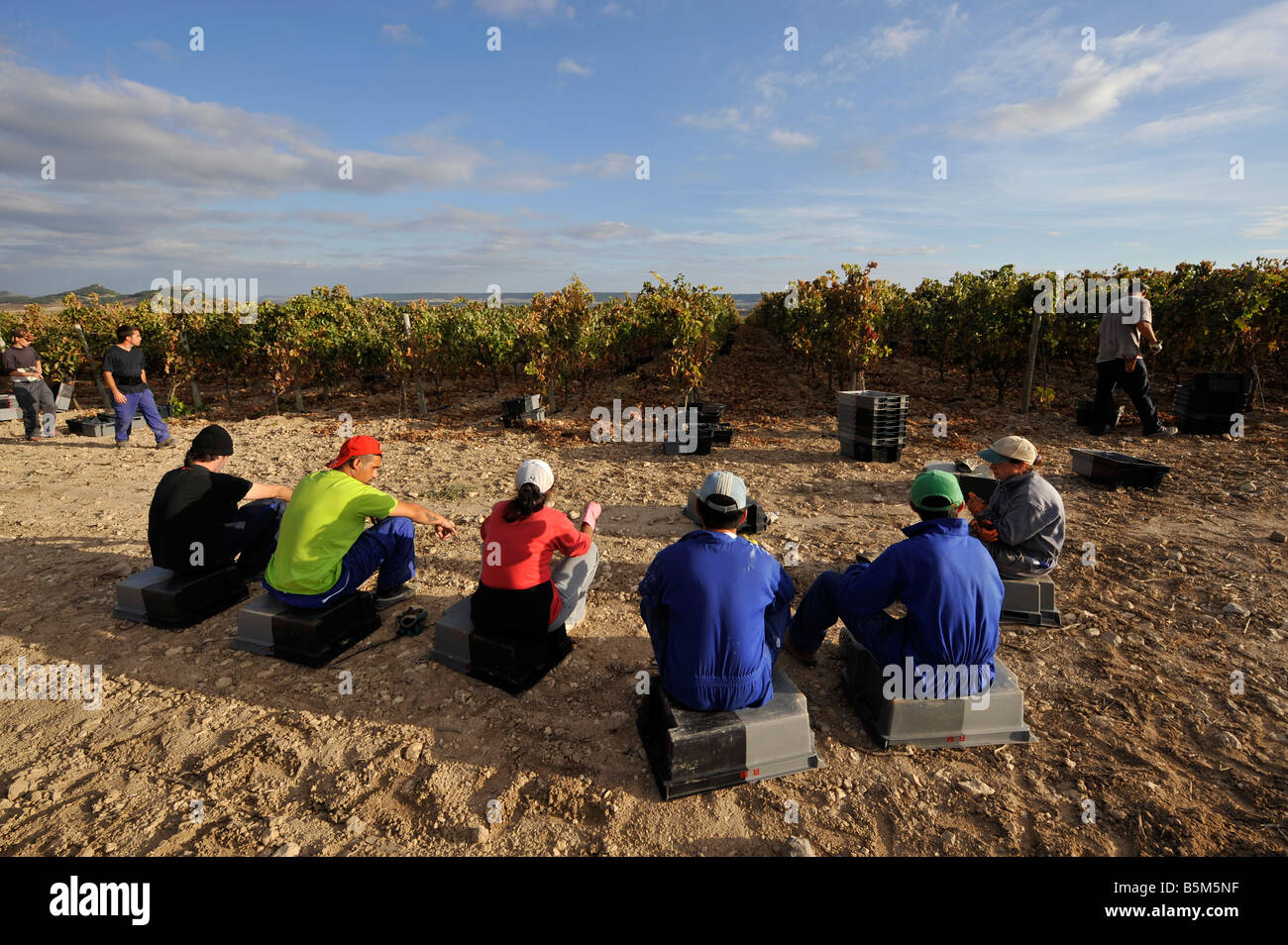 Arbeitnehmer Pause eine während der Weinlese auf dem Weingut Mauro in Tudela del Duero, Spanien Stockfoto