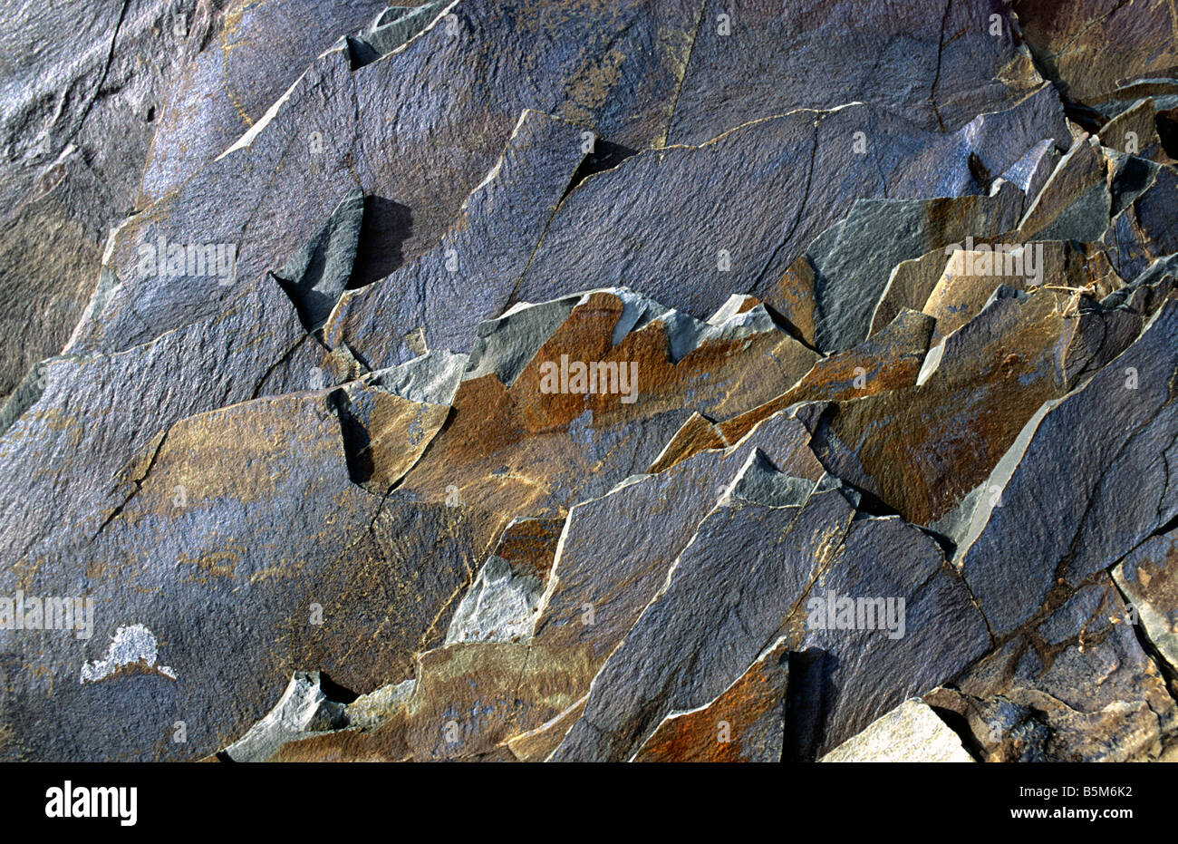Schiefer-Felsen Gesicht Detail, Gwynedd, Wales, UK. Stockfoto