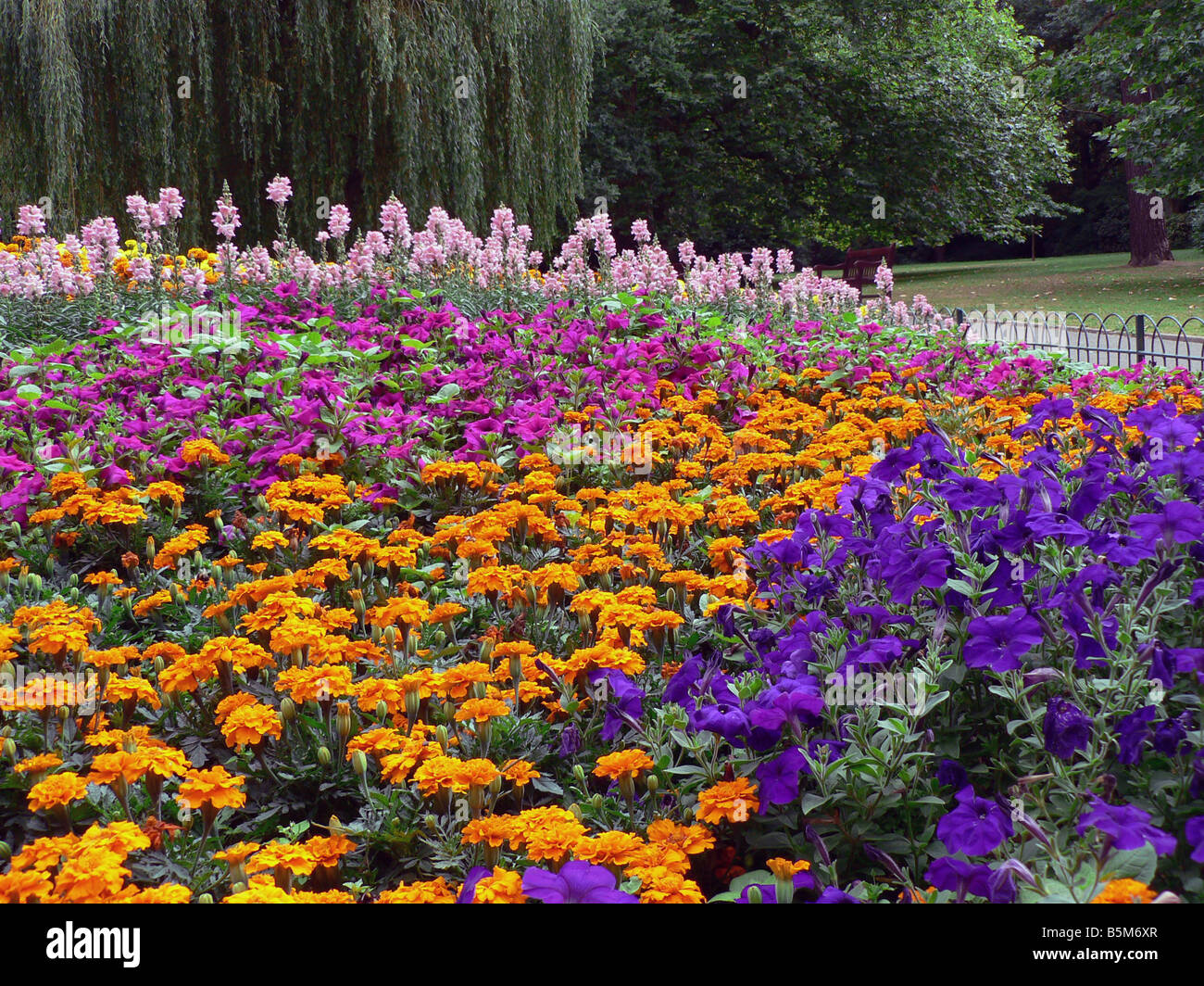 Blumenbeete Stockfoto