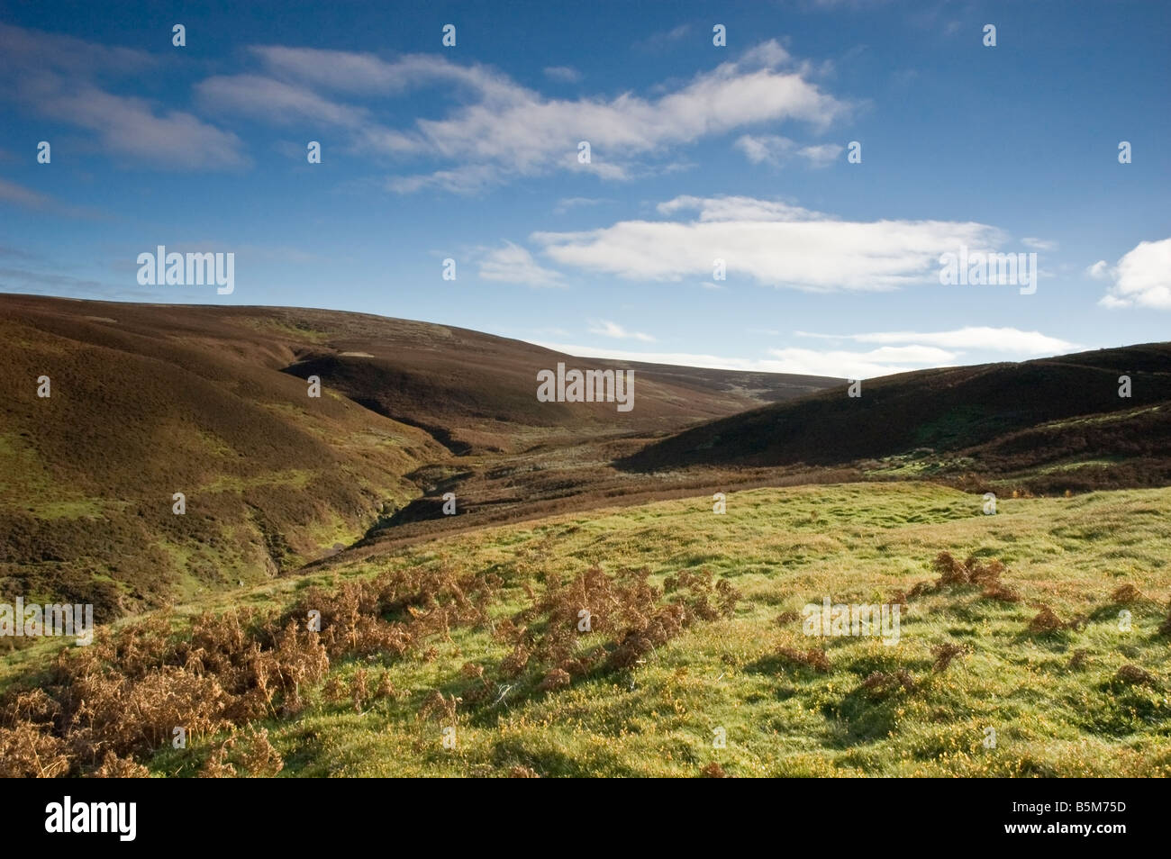 Die Heidelandschaft der Lammermuir Hügel in den Scottish Borders Stockfoto
