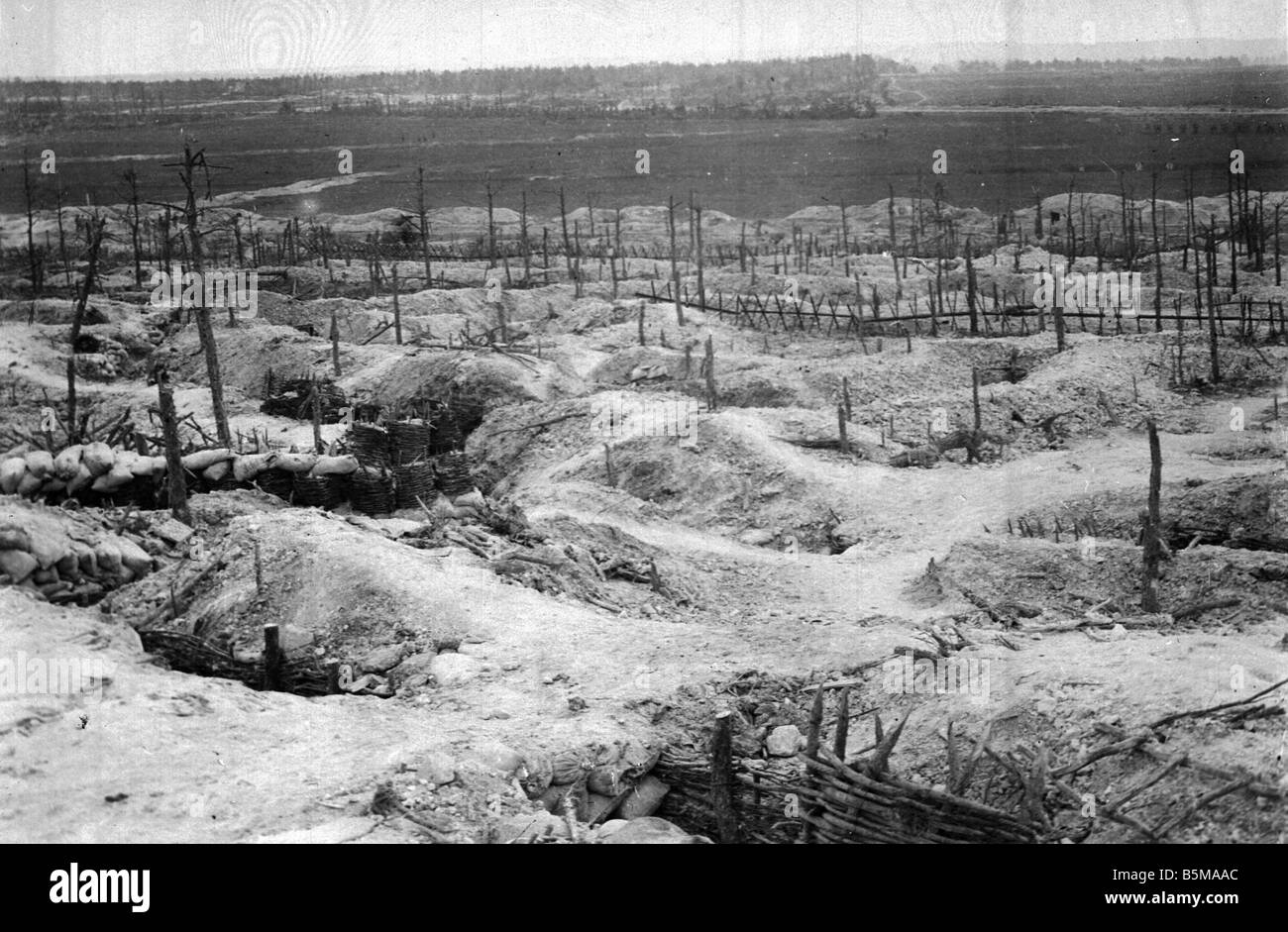 2 G55 W1 1915 21 E WWI deutschen Stellungen am Sabot 1915 Geschichte WWI Western Front deutsche Positionen in den Wald Sabot nach werden Stockfoto