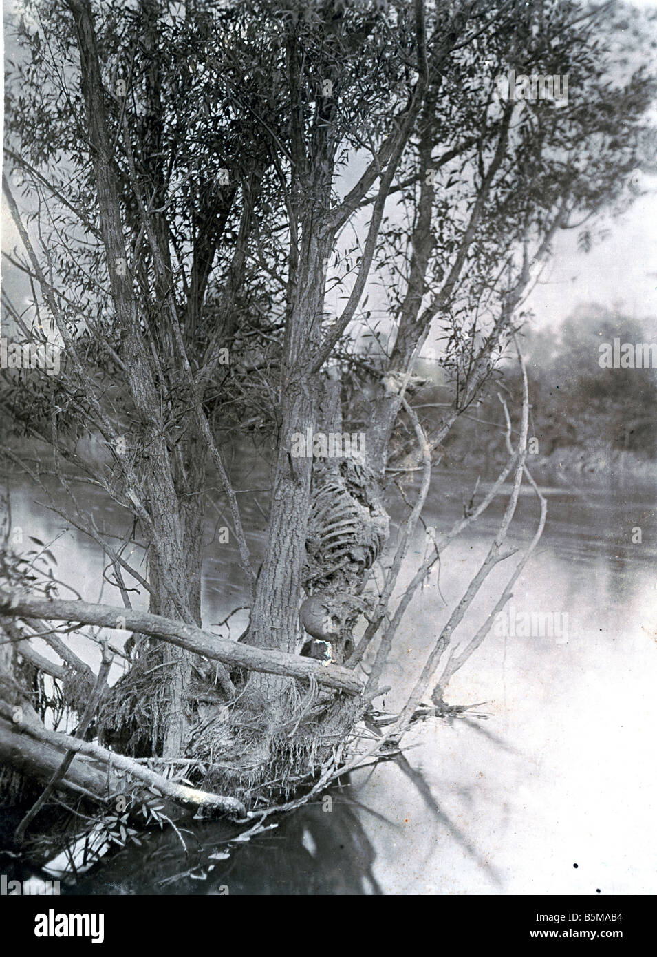 2 G55 W1 1915 WWI Drowned Körper an der Aisne Geschichte WWI Western Front ertrunken Körper Amateur Foto handgeschriebenen Etikett auf der Rückseite I Stockfoto