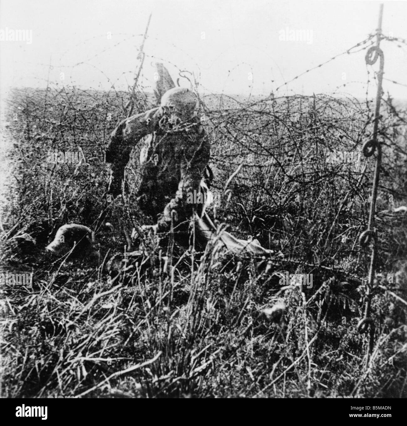 2 G55 W1 1917 3 Körper eines deutschen Soldaten Foto 1917 Geschichte WWI Western Front Körper eines deutschen Soldaten im Stacheldraht Foto keine d Stockfoto