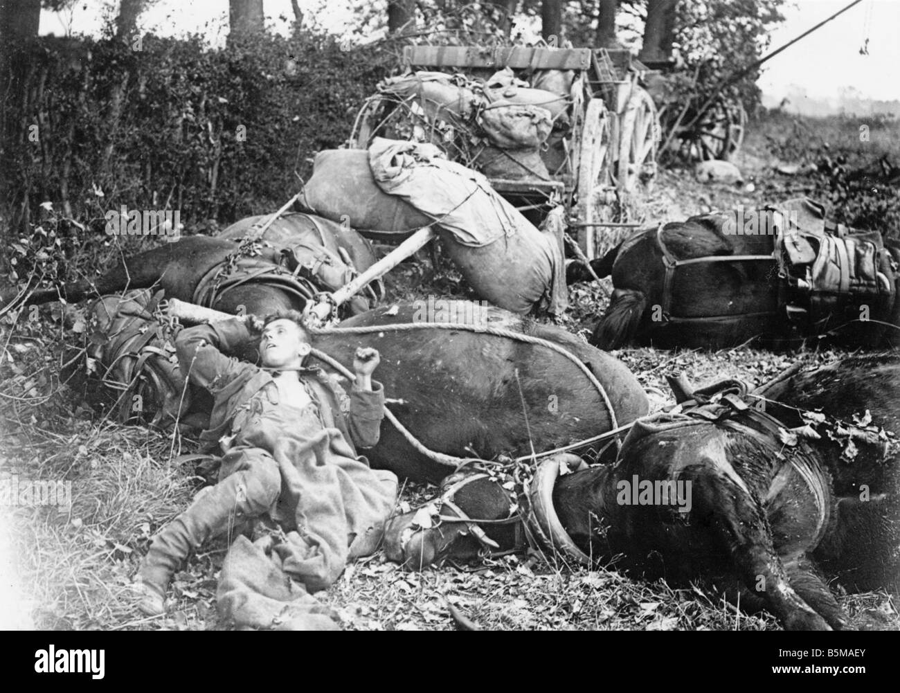 2 G55 W1 1918 18 Tote deutsche Pferd ersten Weltkrieg 1918 Geschichte Weltkrieg Westfront eine deutsche Armee Munition Warenkorb von einem Eng getroffen Stockfoto