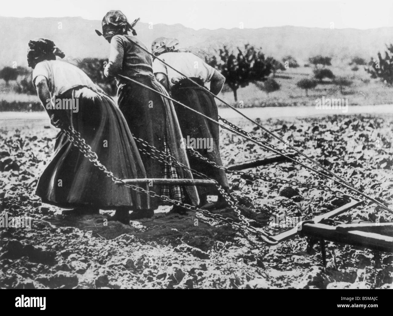 Französische Frauen ziehen einen Pflug WWI Geschichte Weltkrieg Kriegswirtschaft Frankreich Französisch Landarbeiter ziehen einen Pflug Foto undatiert Stockfoto