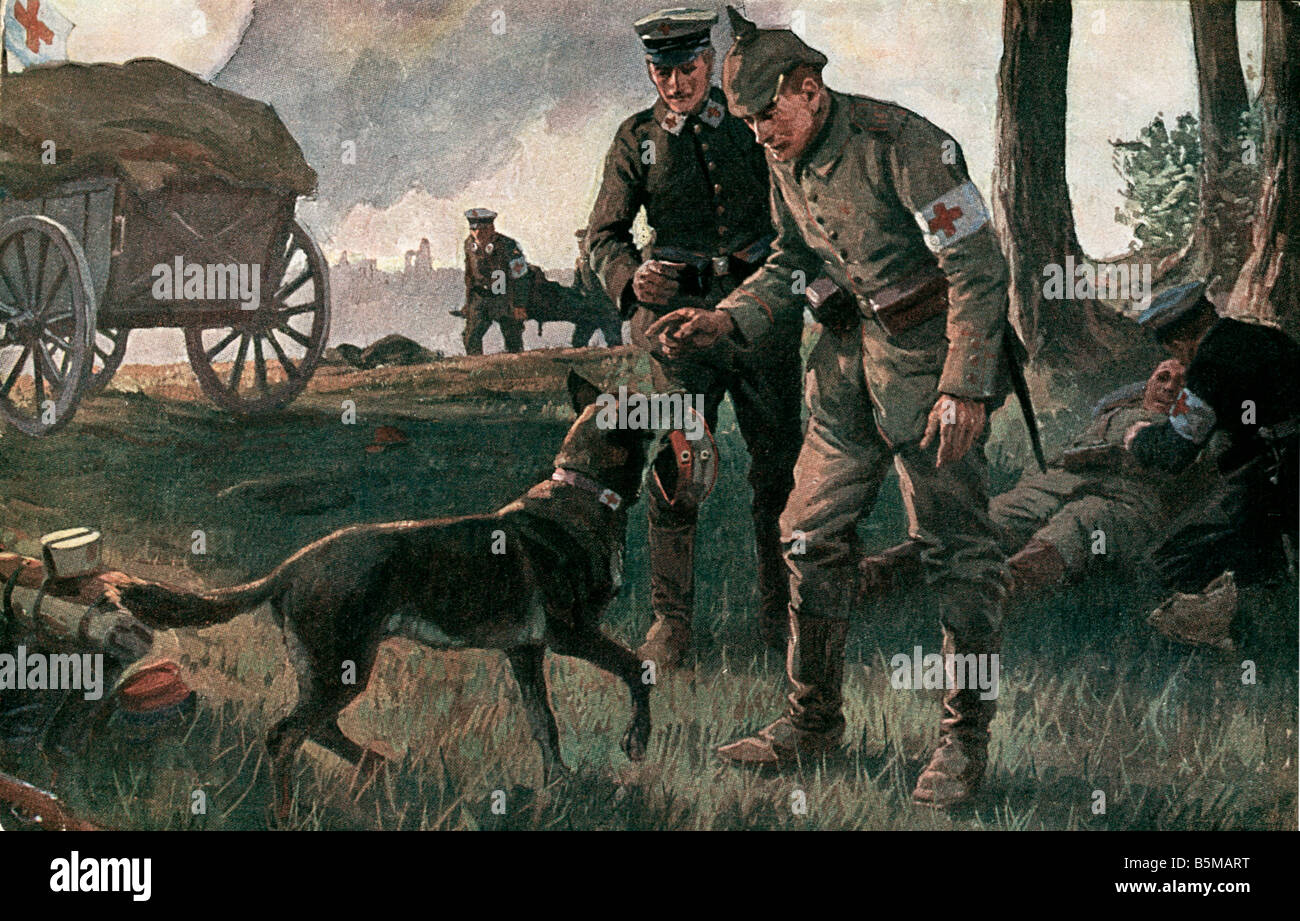 2 M60 L1 1914 11 WW1 A wahre Helfer nach Roloff militärische medizinische A wahre Helfer A Gebrauchshund den Hut von einem verletzten Mann Bild bringt Stockfoto