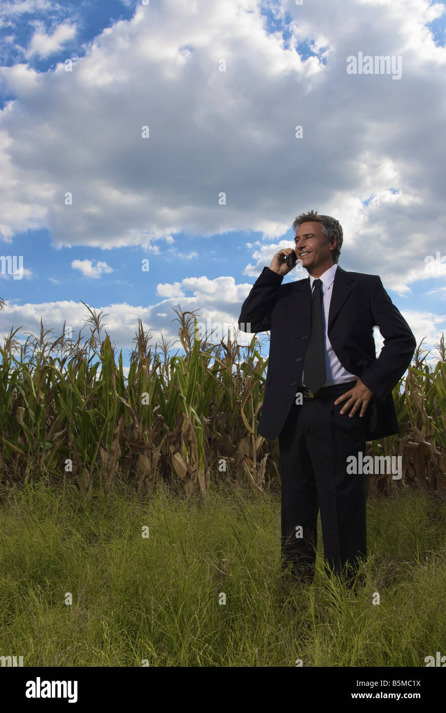 Ein Geschäftsmann in einem Kornfeld im Gespräch auf ein Mobiltelefon Stockfoto