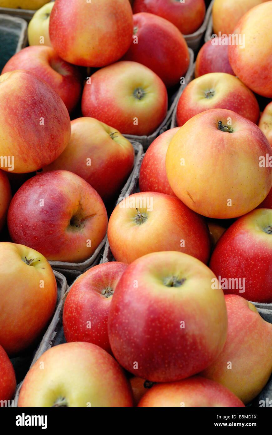 Gala Äpfel auf einem Freiluftmarkt Stockfoto