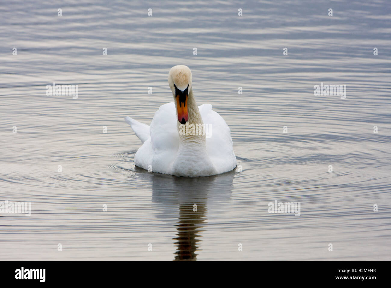 Weiße Schwamm auf flachem Wasser verursacht sanfte Wellen Stockfoto