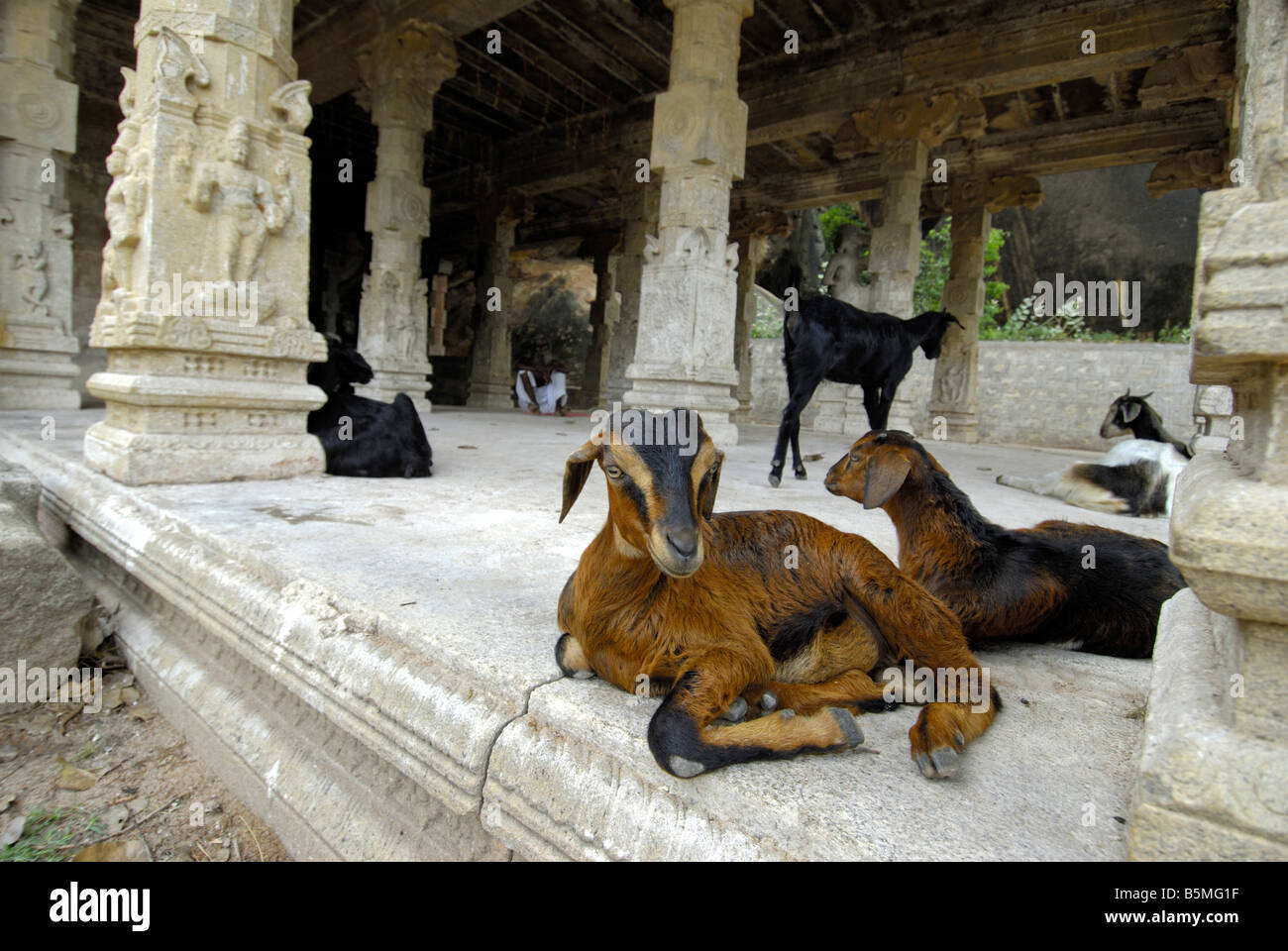 THIRUMAYAM FORT IN DER NÄHE VON THANJAVUR TAMILNADU Stockfoto