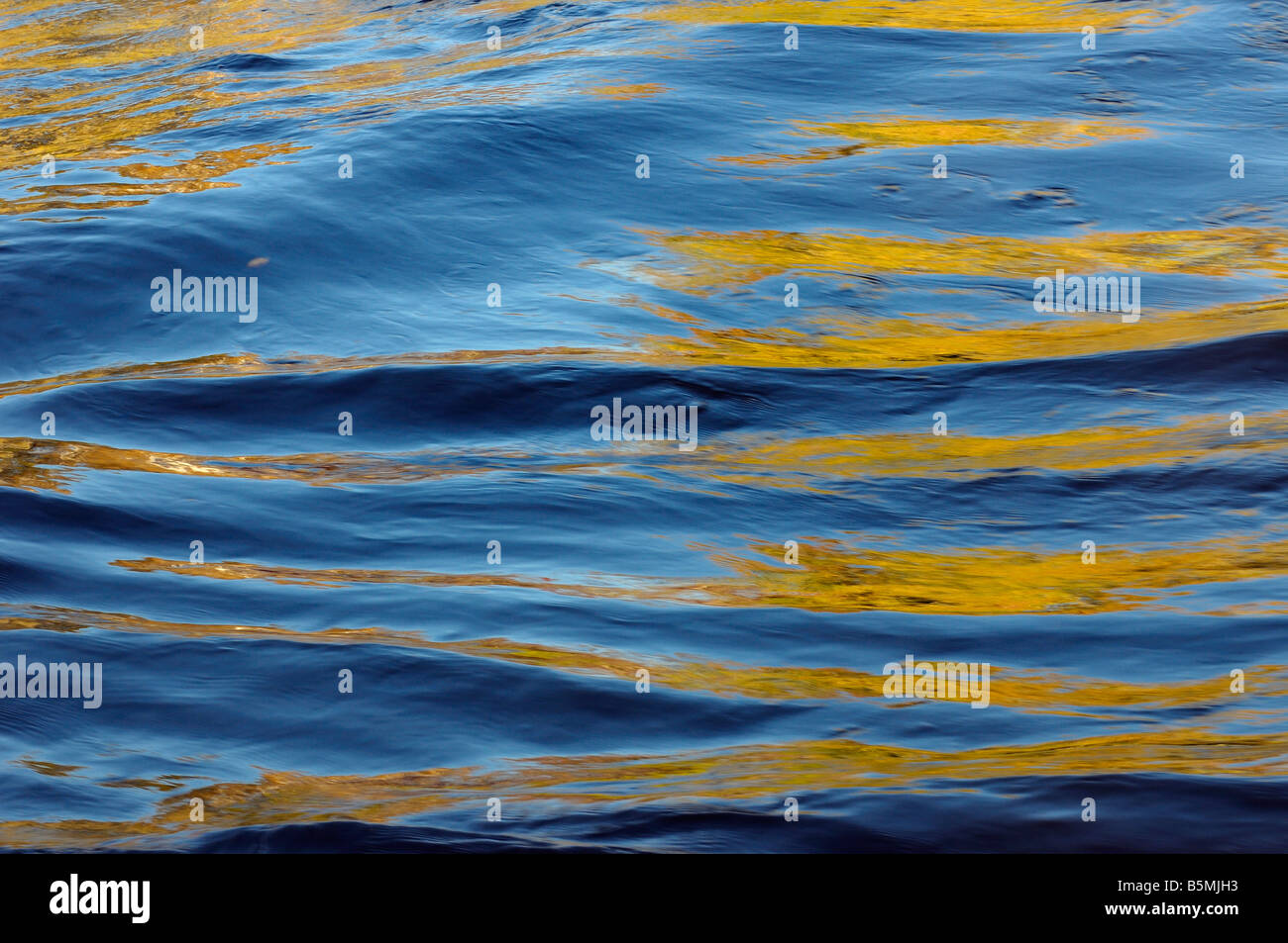 Abstrakte stehende Wellen reflektiert gelb Birken auf der blauen Kettle River im Herbst Stockfoto