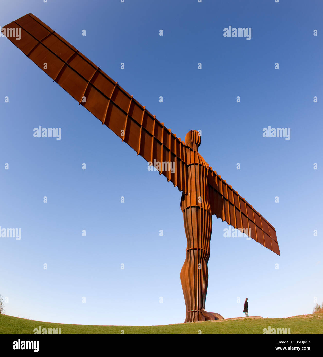 Engel der Nord Gateshead Tyne and Wear, England UK Stockfoto