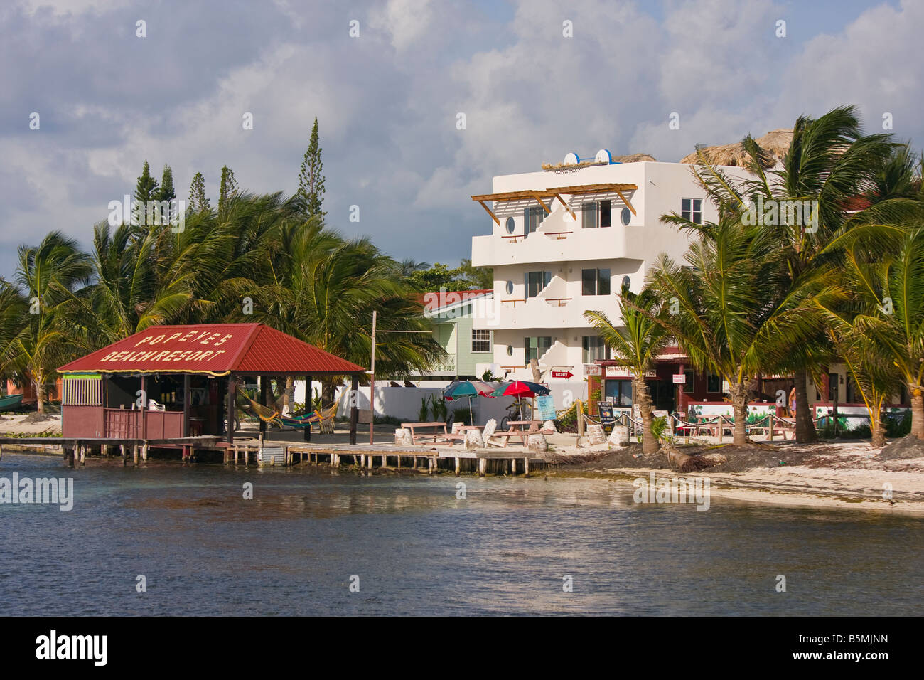 CAYE CAULKER, BELIZE - Hotels und Palmen am Strand Stockfoto