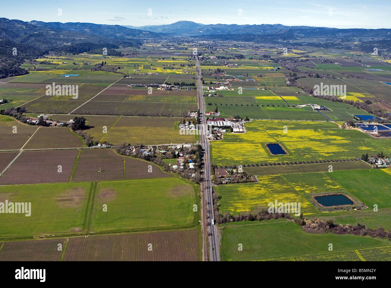 Luftaufnahme über dem Highway 29 im Napa Valley Kalifornien im Frühjahr mit blühenden Senf in vielen Weinbergen Stockfoto