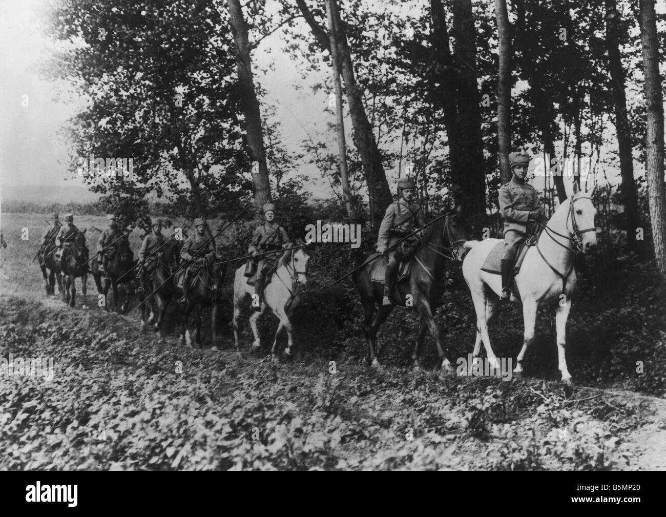 Husar Patrouille Western Front 1914 World War I Western Front deutsche Husar Patrolin ein Stück Wald Foto Otto Haeckel Stockfoto