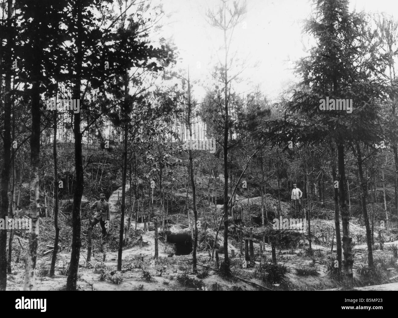 Erde Löcher in Holz 1. Weltkrieg Weltkrieg 1914-18 1 Erde Löcher Tierheime in einem desolaten waldreichen Gebiet Foto F Gerlach Berlin Stockfoto