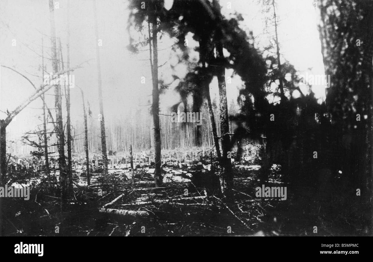 9 1916 3 18-A1 7 E Schlacht von Postawy 1916 zerstörte Wald 1. Weltkrieg östlichen vorderen Niederlage der russischen Truppen nach einem offen Stockfoto