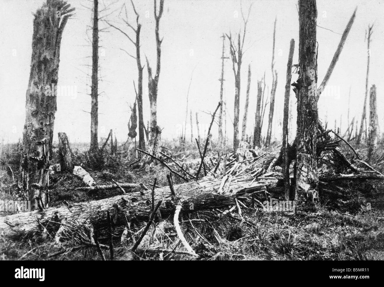 9 1916 6 23 A1 E Chaulnes Holz 1916 Erster Weltkrieg 1914-18 1 westlichen vorderen Schlacht an der Somme 23. Juni bis 26. November 1916 bleiben Stockfoto