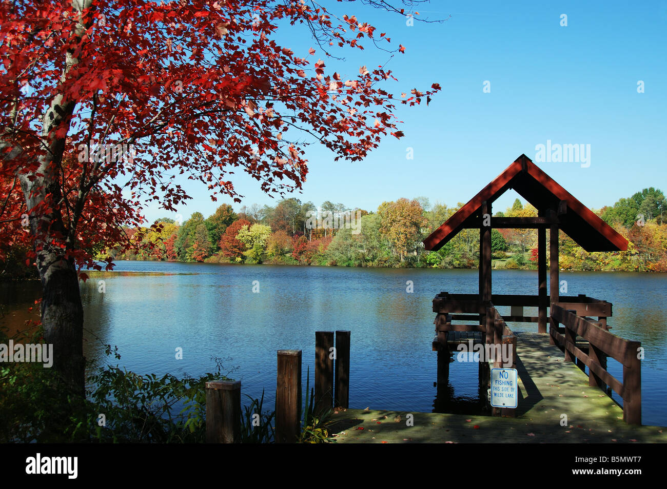 Herbst Farben, Wilde See, Columbia, Maryland, USA Stockfoto