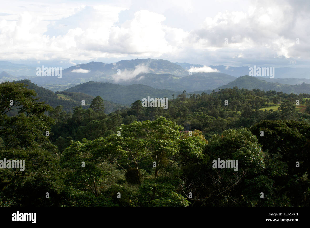 Bewaldete Berge und Cloud forest in der Nähe von Matagalpa, Nicaragua Stockfoto