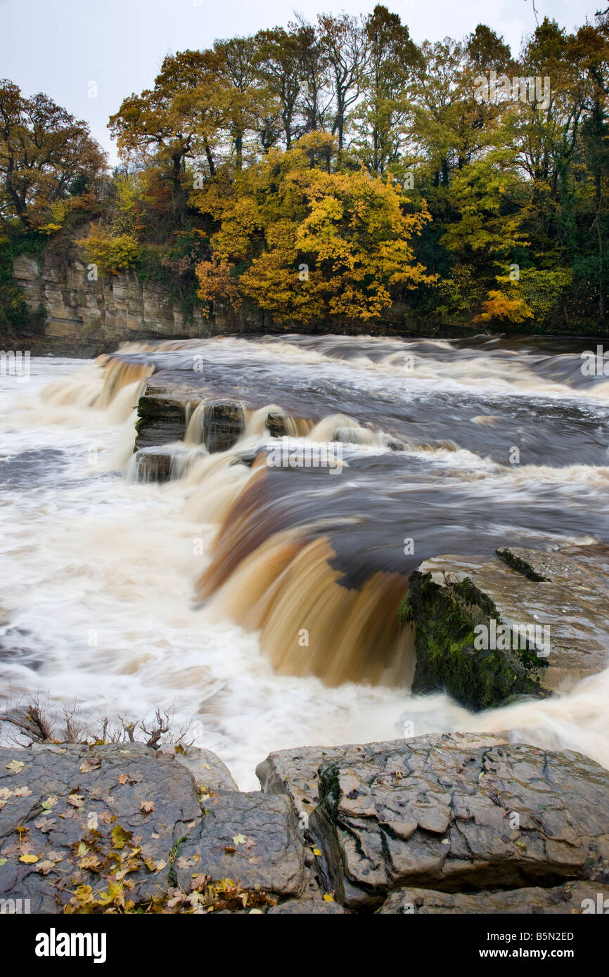 Die Wasserfälle auf dem Fluß Senke im Herbst nach schweren Regen Richmond Yorkshire Stockfoto