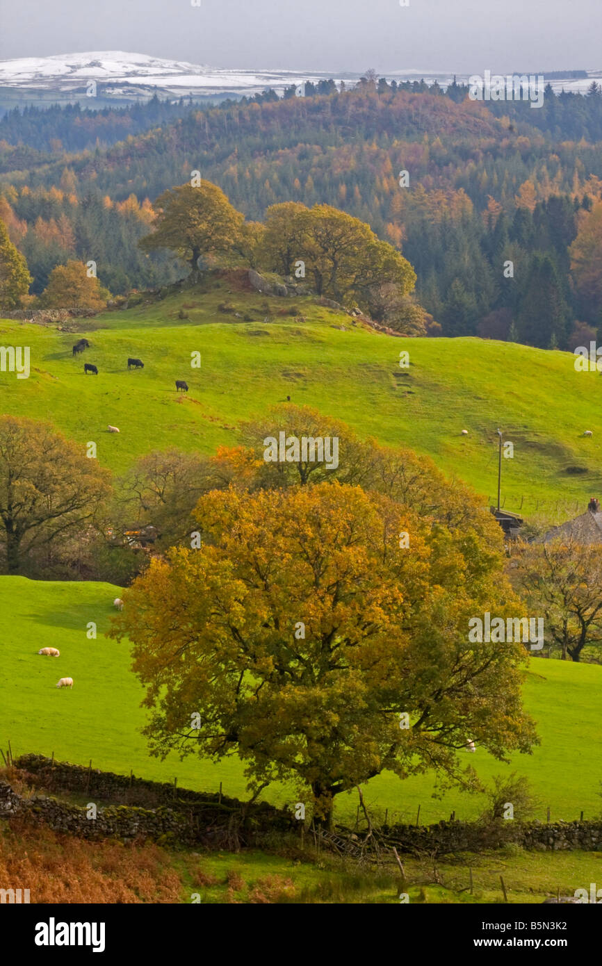 Blick ins Tal in der Nähe von Romanum, North Wales, UK Stockfoto