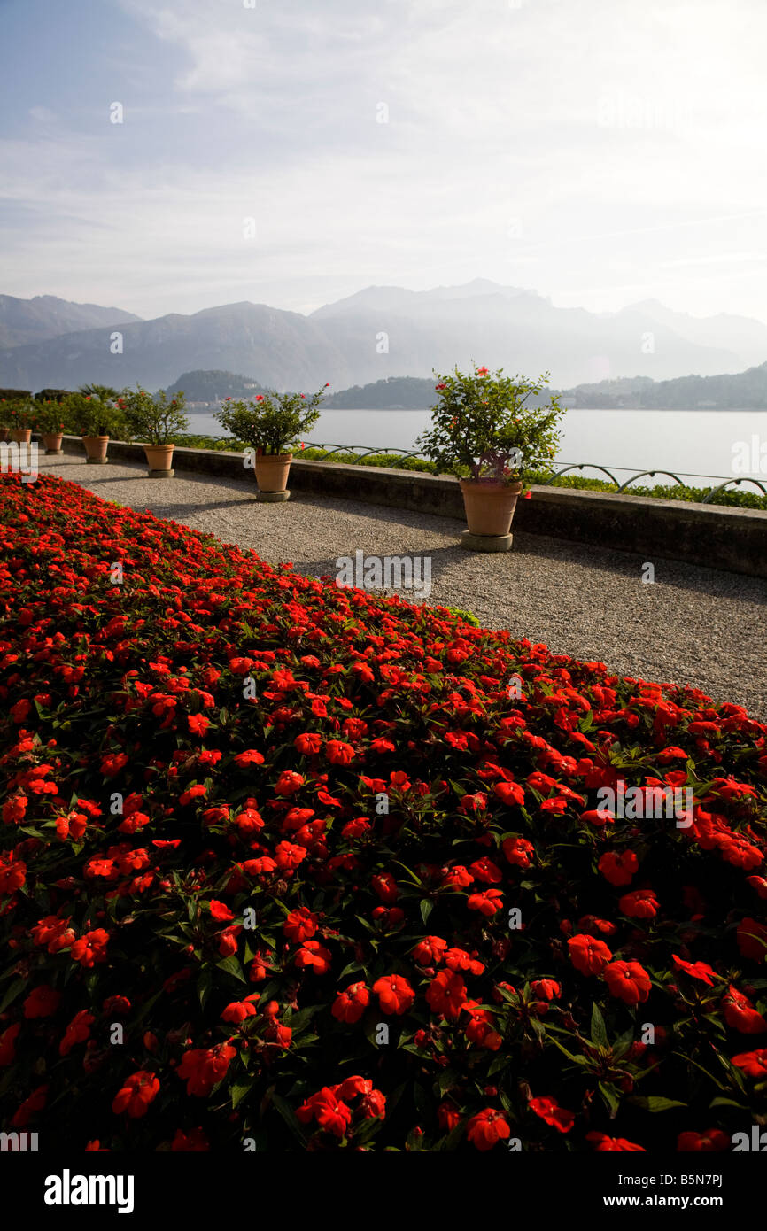 Villa Carlotta, Blick auf See Com von der Gartenterrasse. Tremezzo, Comer See, Lombardei, Italien. Detail auf rote Blumen Stockfoto