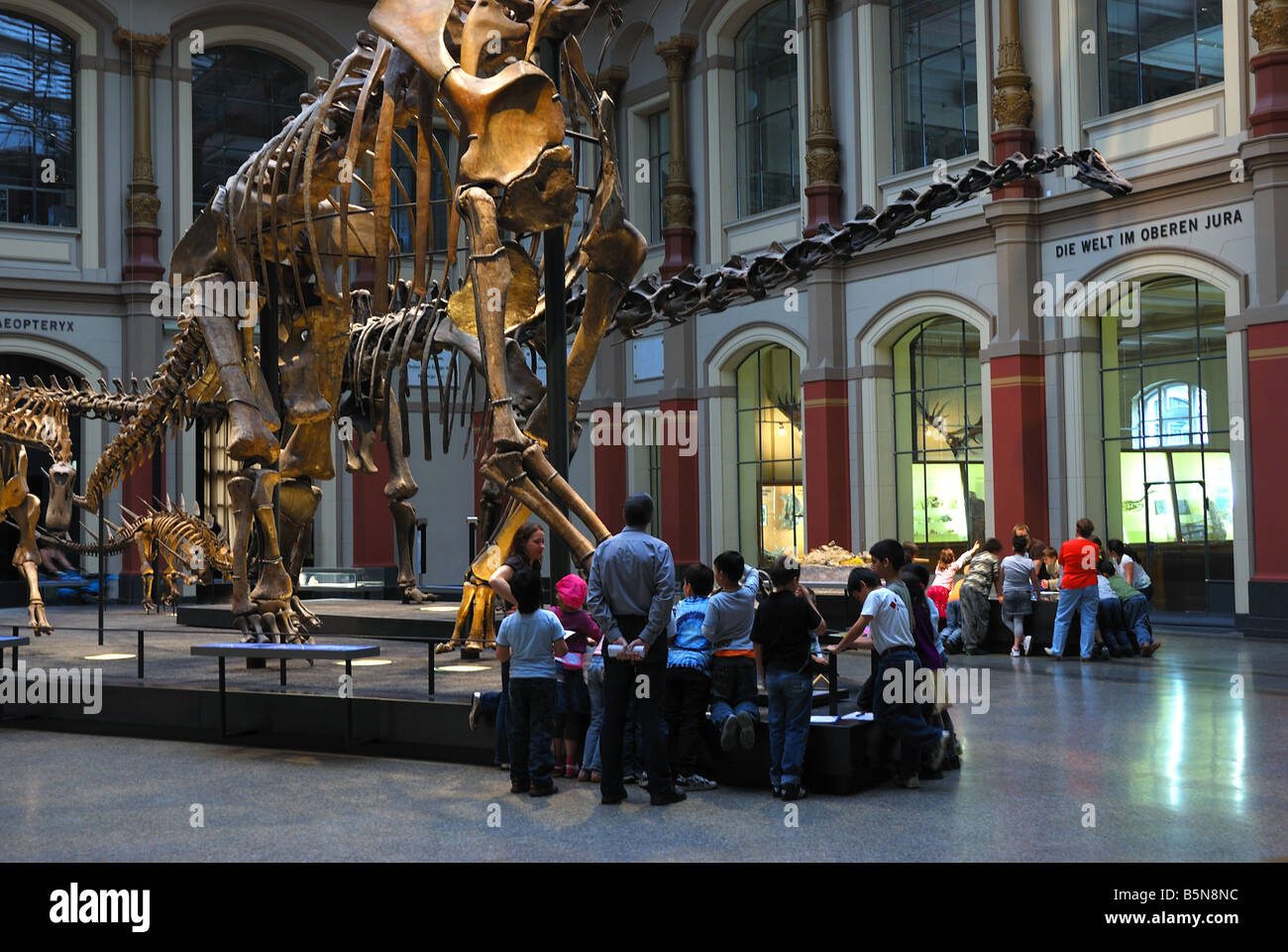 Gruppe von Kindern in der Haupthalle des naturwissenschaftlichen Museums aus Berlin. Stockfoto