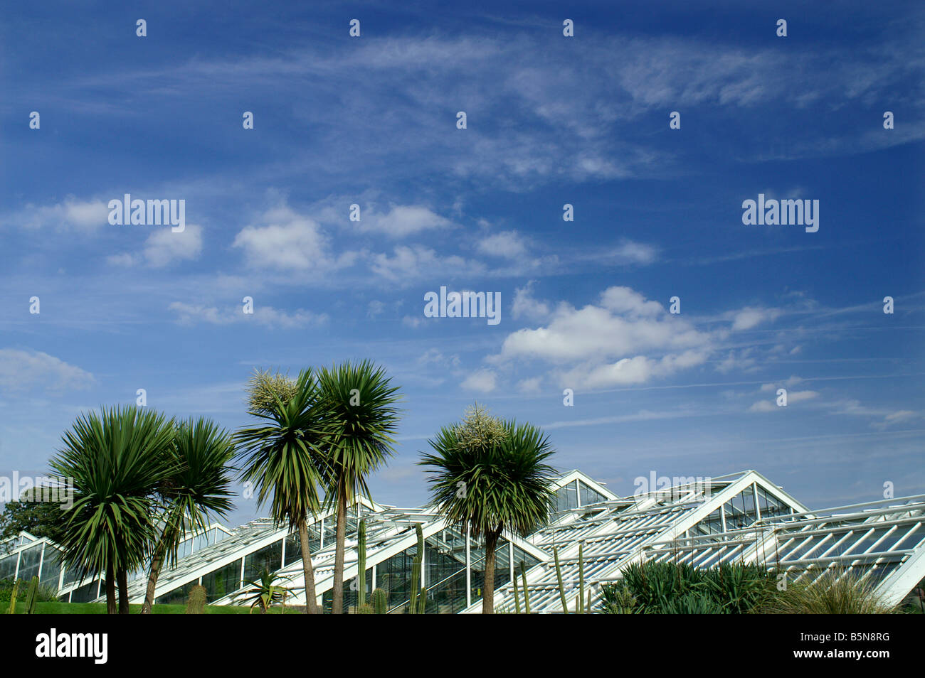 Sommer in London. Kew Gardens Stockfoto