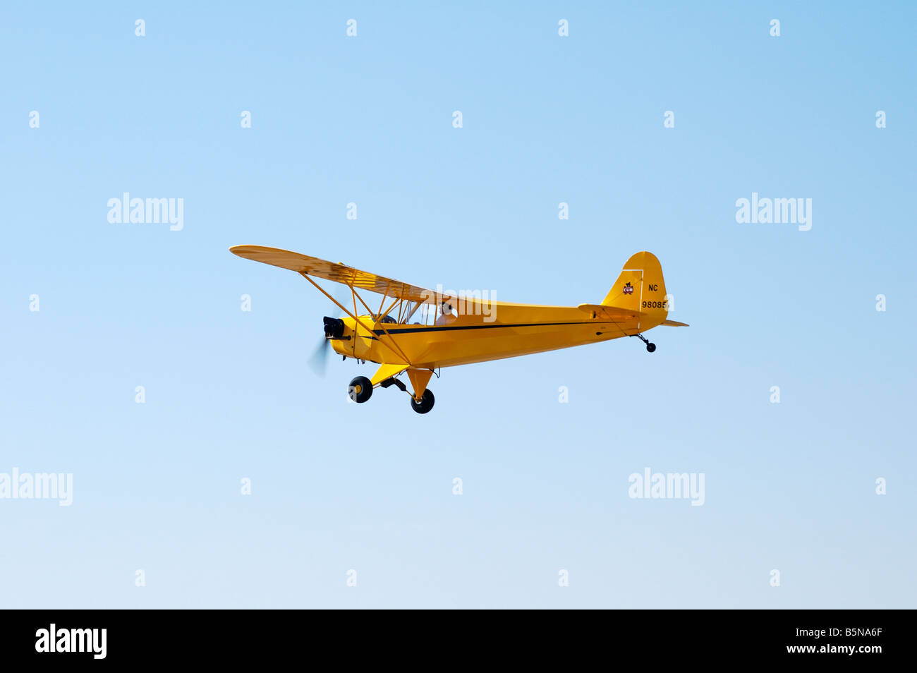 Piper J3 Cub in der Luft Stockfoto