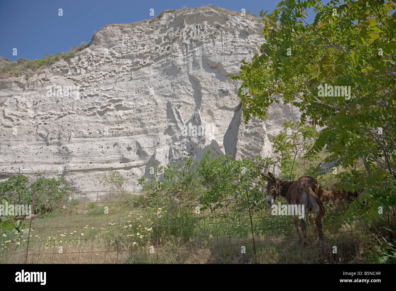 Weißen Bimsstein Schicht während der großen minoischen Vulkanausbruch auf Santorini an um 1613 v. Chr. Stockfoto