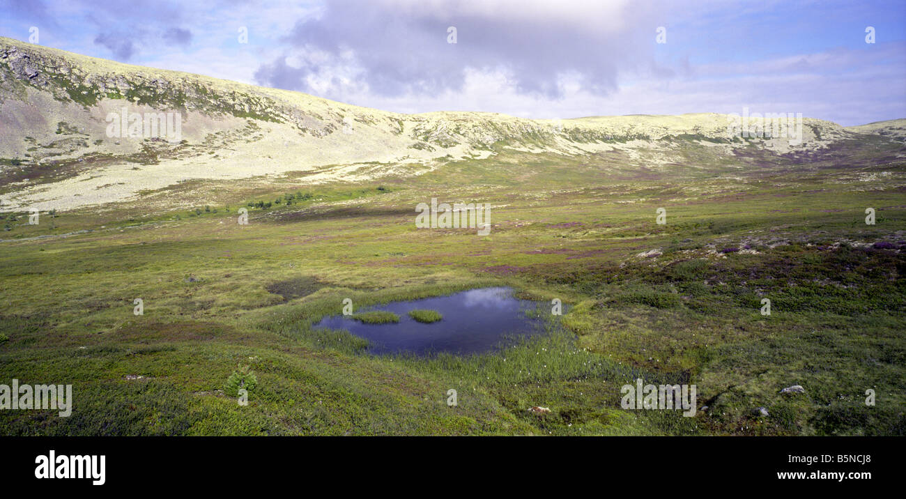 Nipfjället, einer Bergregion in Dalarna, Schweden Stockfoto