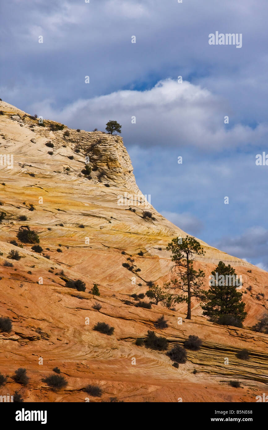 Gelbe und orange Töne aus Rock mit einigen Bäumen gegen blauen Himmel und Wolken Stockfoto