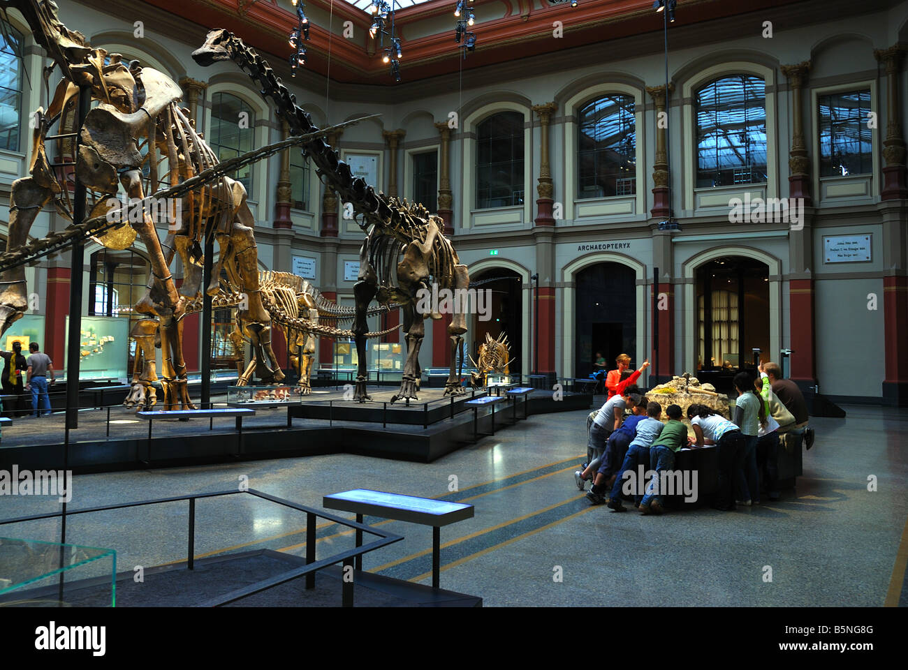 Gruppe von Kindern in der Haupthalle des naturwissenschaftlichen Museums aus Berlin. Stockfoto