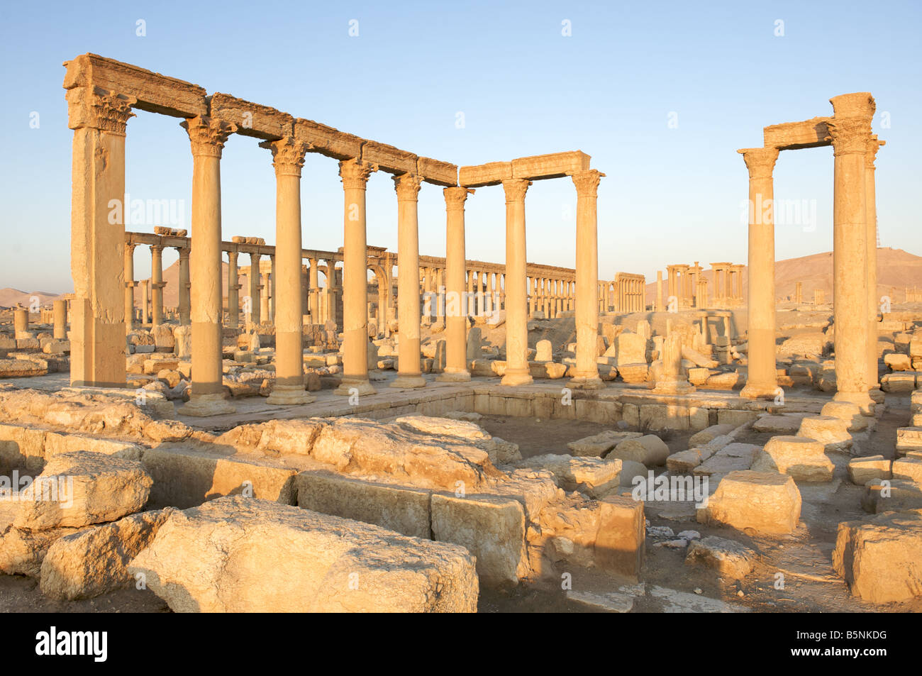 Römische Säulen, Palmyra, Syrien Stockfoto