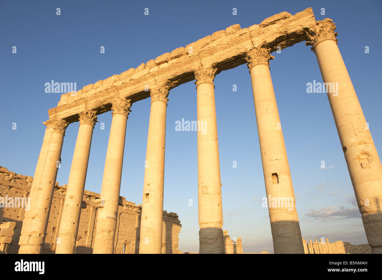 Römische Säulen, Palmyra Stockfoto