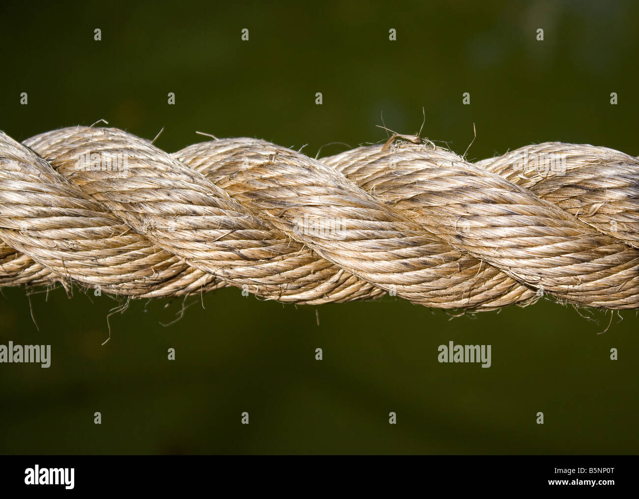 Nahaufnahme Detail eines Seils über einen soliden grün Hintergrund Stockfoto
