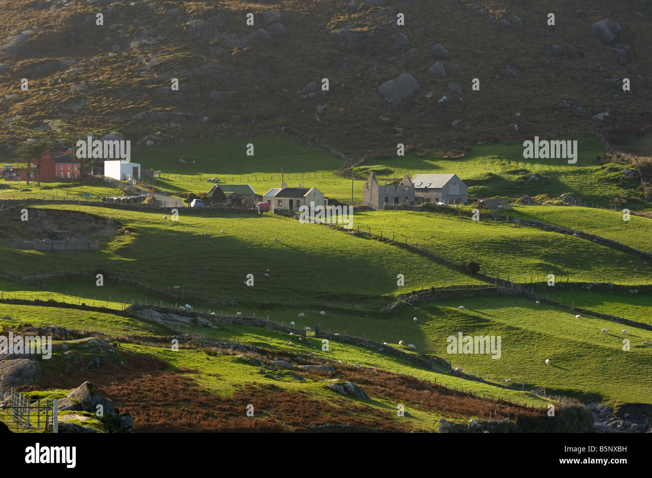 Irische Farm, County Cork - Johannes Gollop Stockfoto