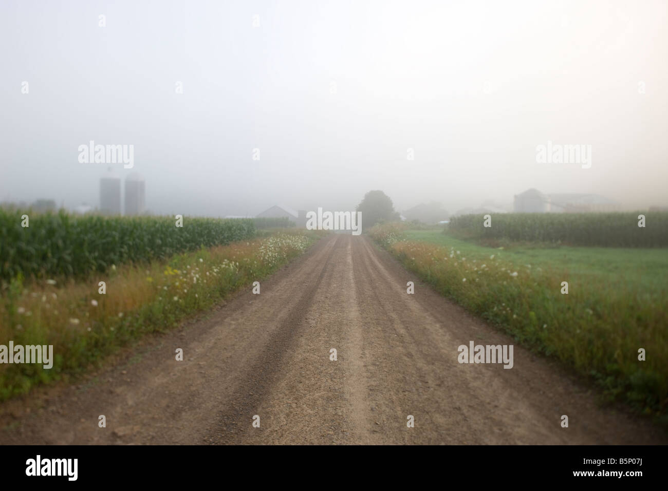 UNBEFESTIGTE STRAßE JEFFERSON COUNTY PENNSYLVANIA USA Stockfoto