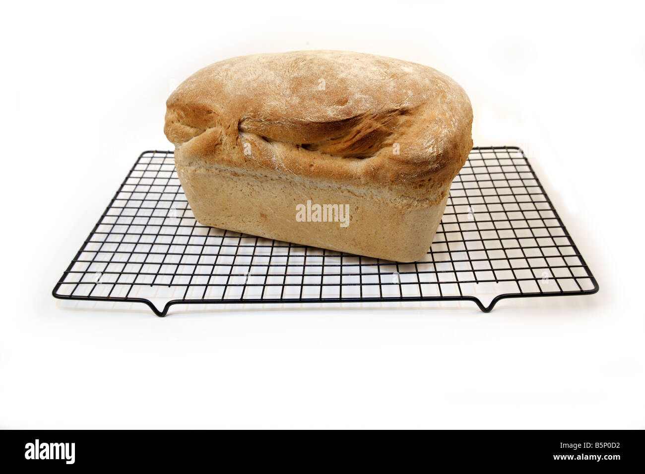 Hausgemachtes Brot auf Rack-Kühlung weißer Hintergrund Stockfoto