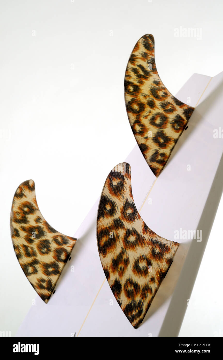 Leopard Haut Surfbrett flossen Stockfoto