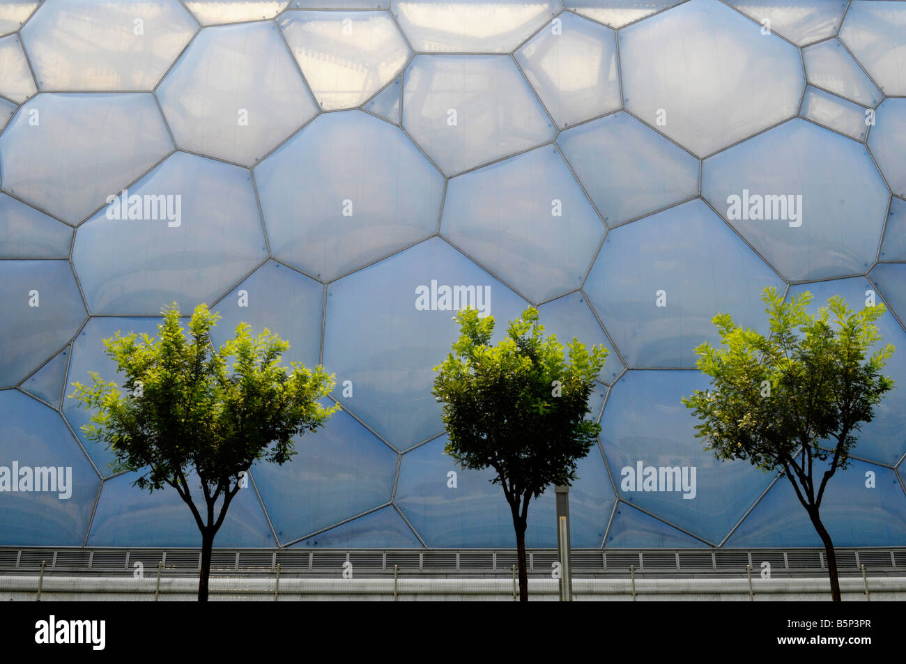 Bäume gegen die National Aquatics Center (Water Cube) auf die Olympischen Sommerspiele Peking 2008 gegenübergestellt. Stockfoto