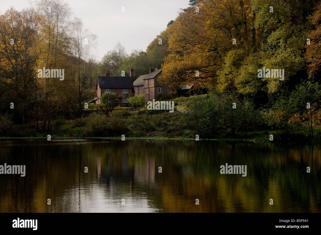 Häuser am Ufer des Hammer Teich am Freitag Street, Surrey, England. Stockfoto