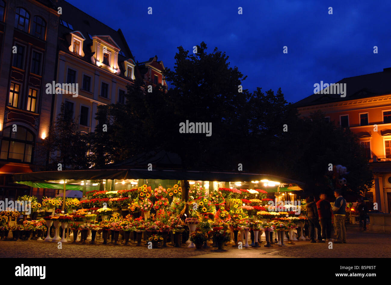 Blumenmarkt in "Salzplatz" oder Solny Square, Wroclaw, Polen Stockfoto