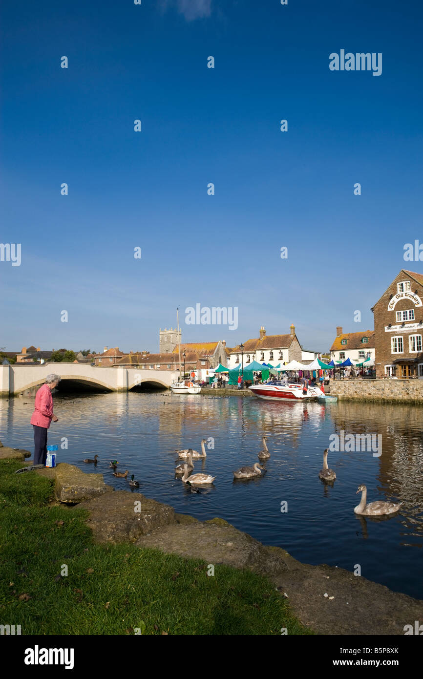 Entspannen am Kai entlang dem Fluß Frome in Wareham Dorset mit Person nicht identifizierbare Fütterung Schwäne, mit blauem Himmel Stockfoto