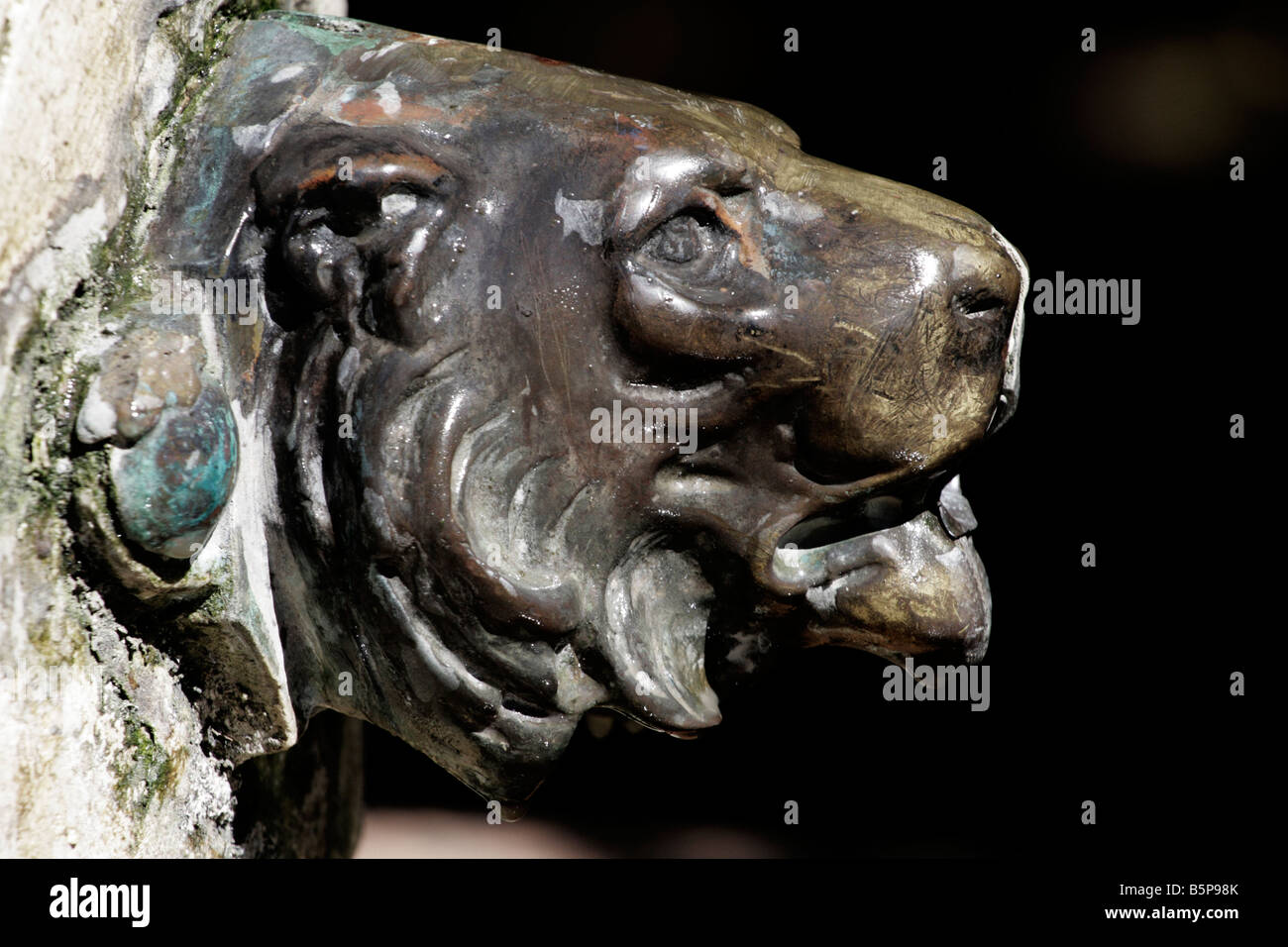 Löwe aus Bronze Stockfoto