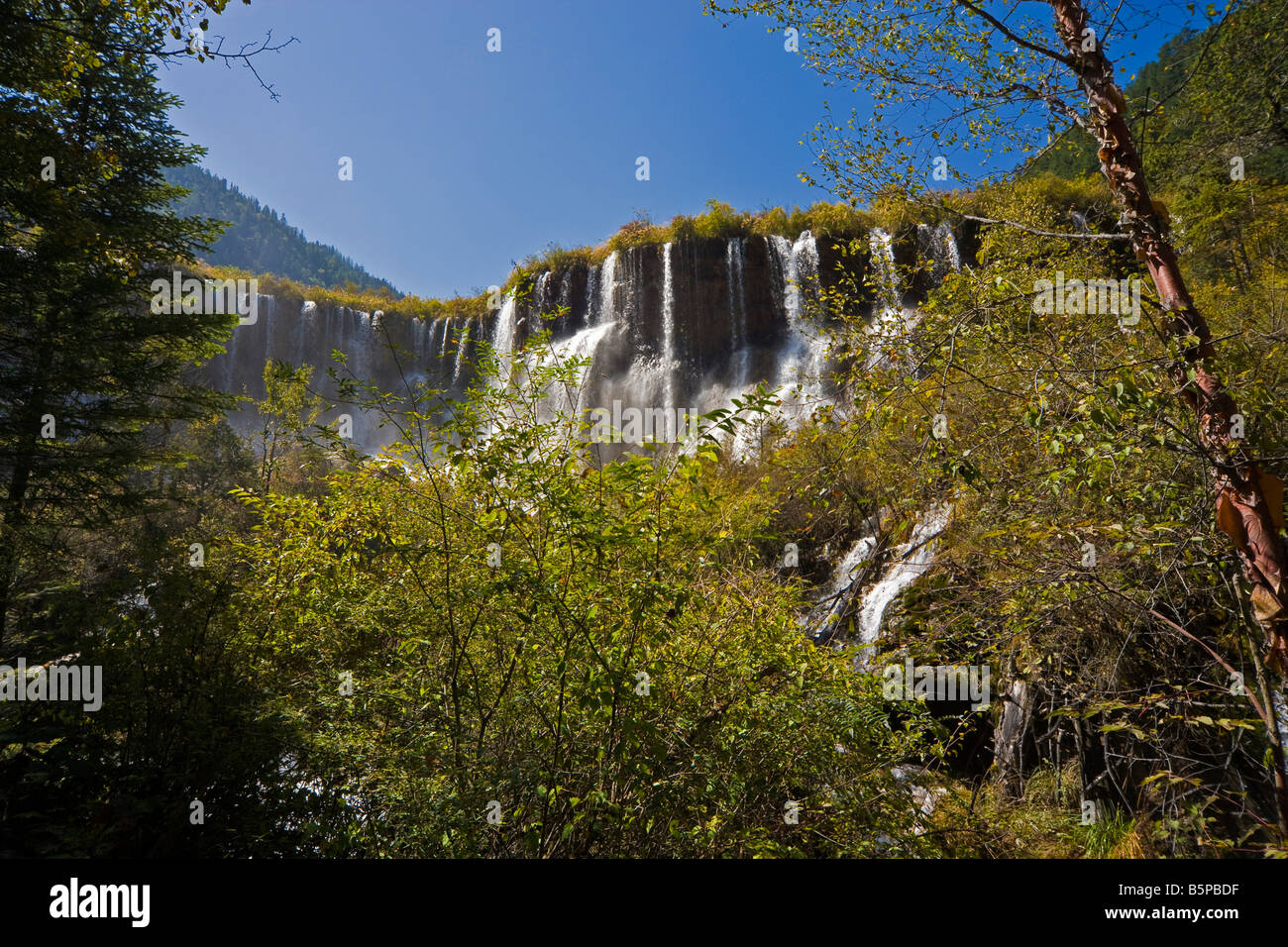 Vielversprechende Bright Bay Wasserfall oder Nuorilang Pubu in Jiuzhaigou Natur behalten Provinz Sichuan China. Kurze Belichtungszeiten. JMH3570 Stockfoto