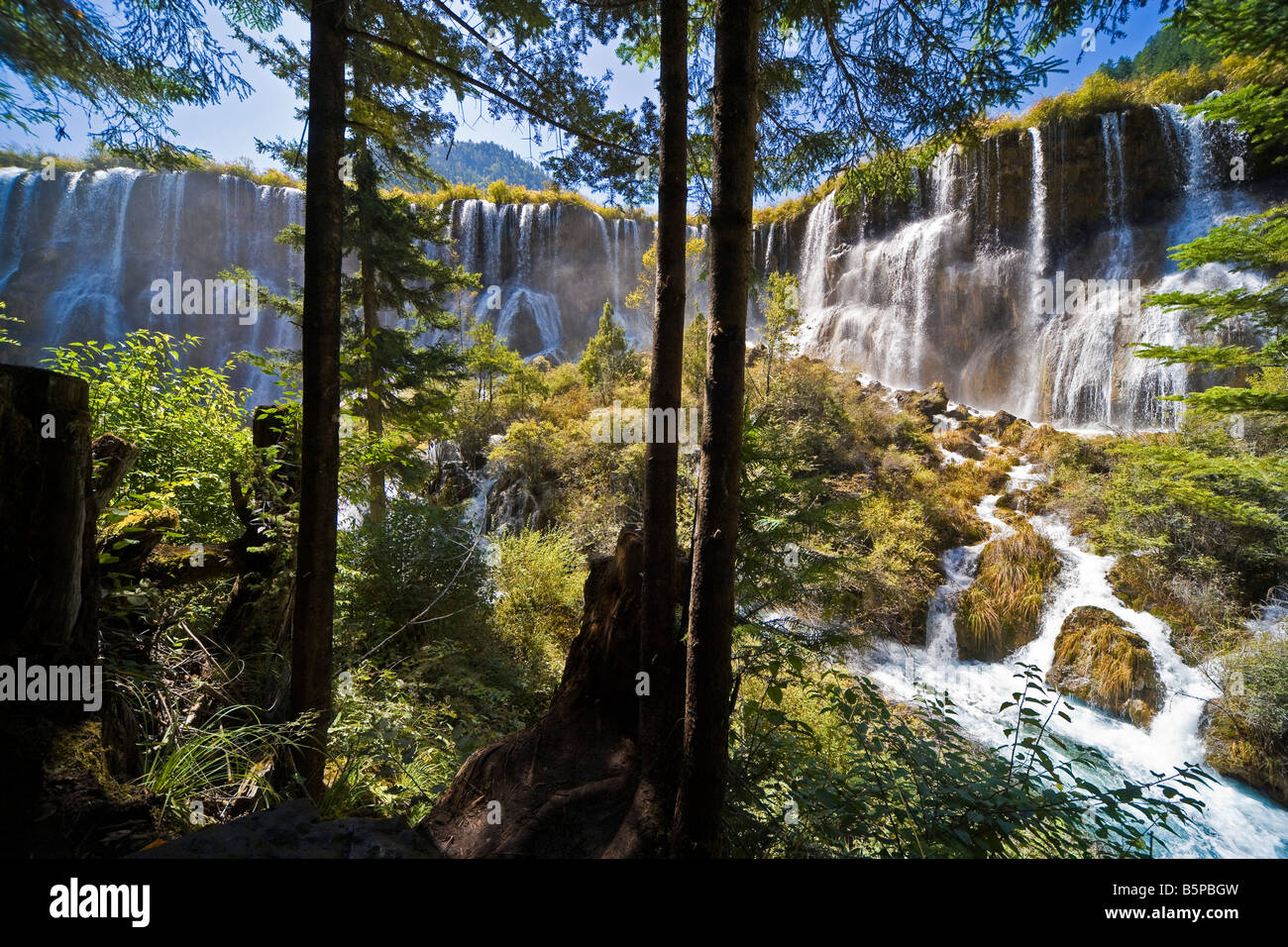 Vielversprechende Bright Bay Wasserfall oder Nuorilang Pubu in Jiuzhaigou Natur behalten Provinz Sichuan China. Kurze Belichtungszeiten. JMH3574 Stockfoto