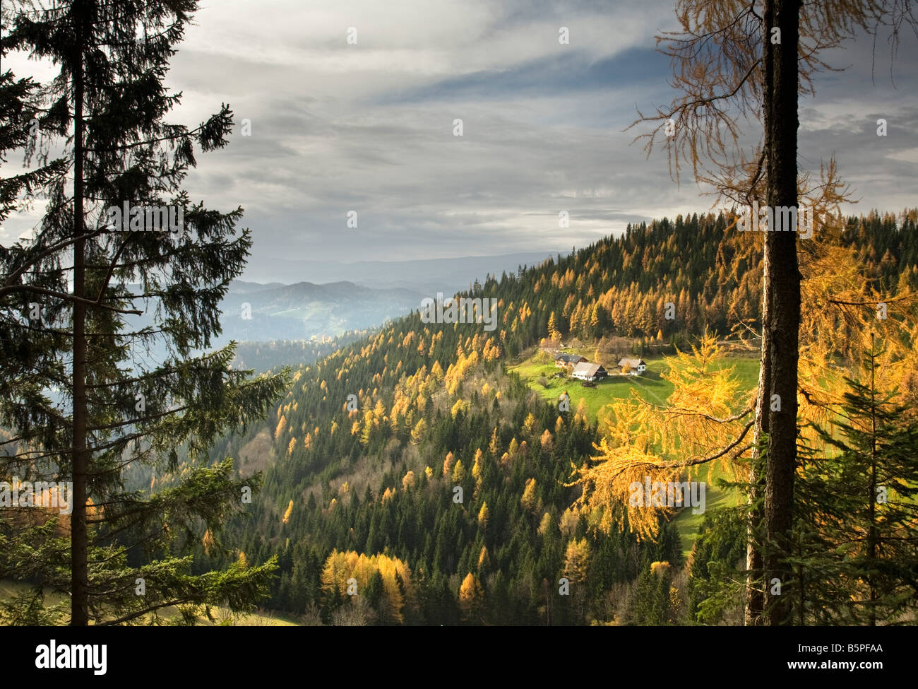 Landschaftsbild von einem fernen Gehöft genommen im Herbst auf Krautwasch, Steiermark Admont, landwirtschaftliche Berglandwirtschaft Stockfoto